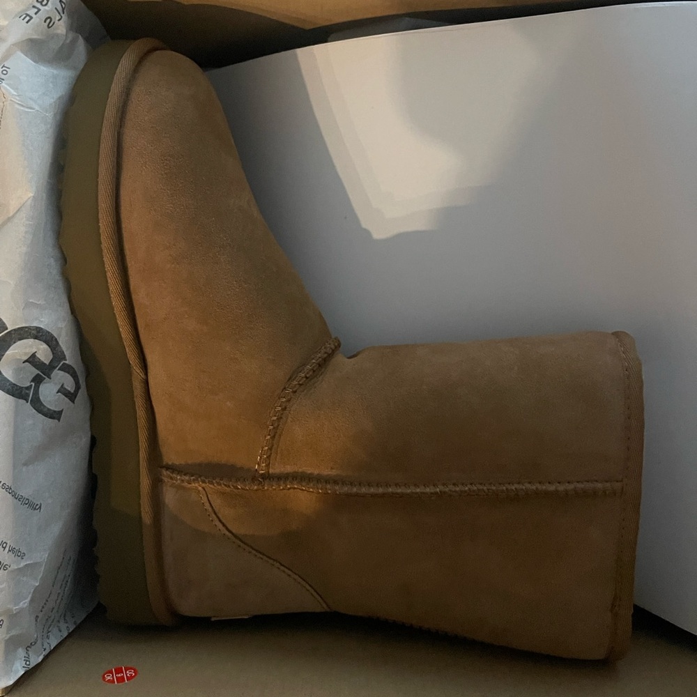 New UGGS never worn